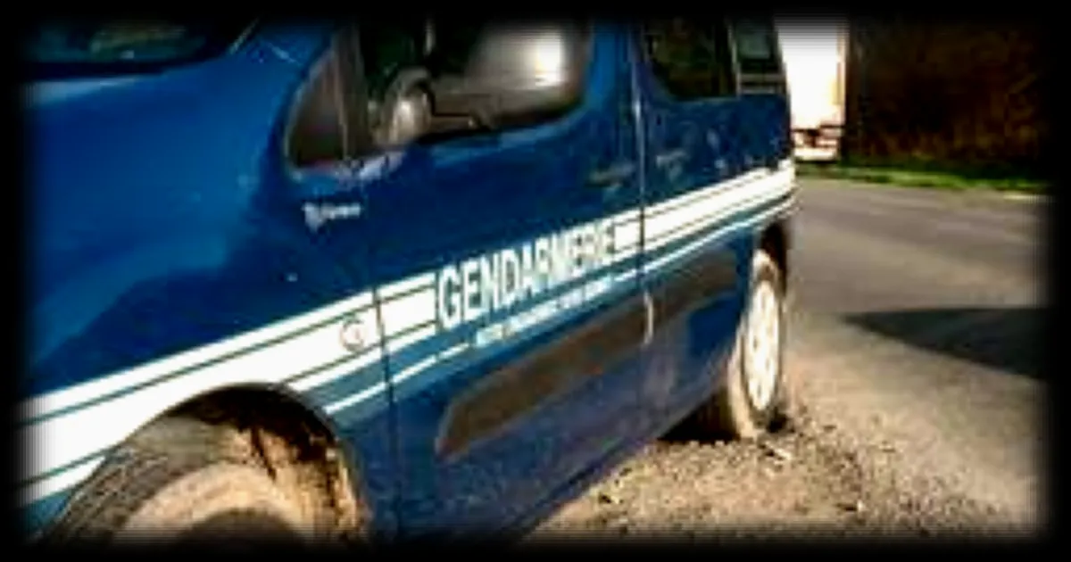 Quatre individus sanctionnés pour avoir jeté des déchets par la fenêtre de leur voiture dans l'Aube