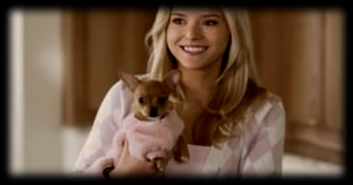 Reese Witherspoon produit sur Prime Video une préquelle de « La Revanche d’une blonde » sur les années universitaires de Elle Woods