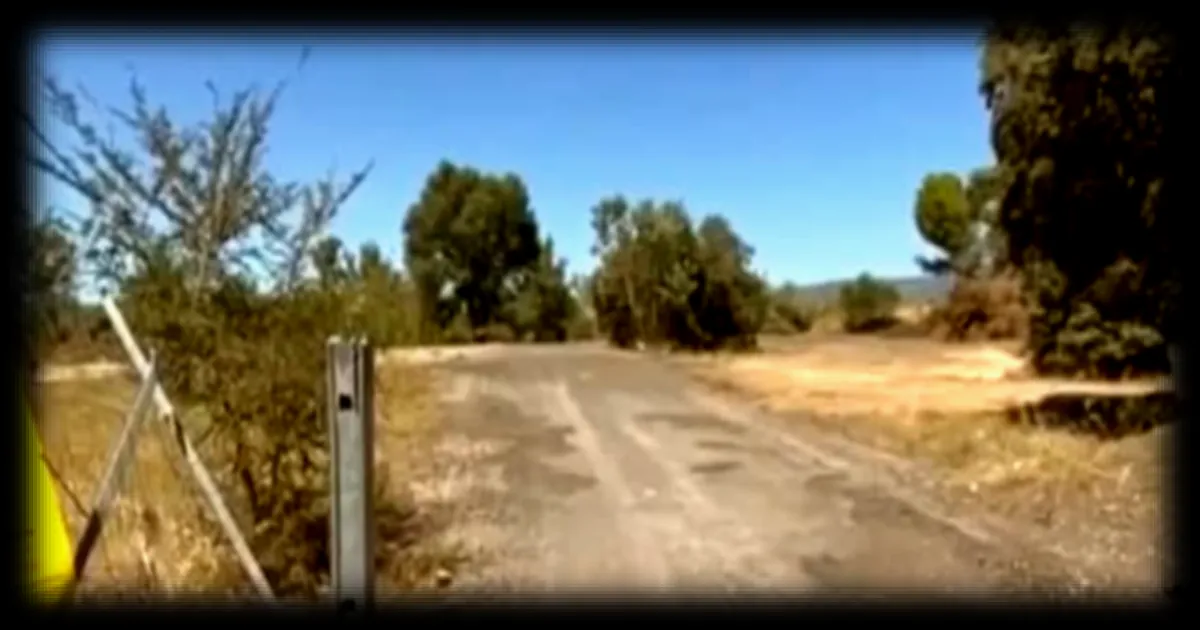 Réforme judiciaire : le gouvernement veut réduire d’un an les recours contre les projets industriels en supprimant un échelon de juridiction