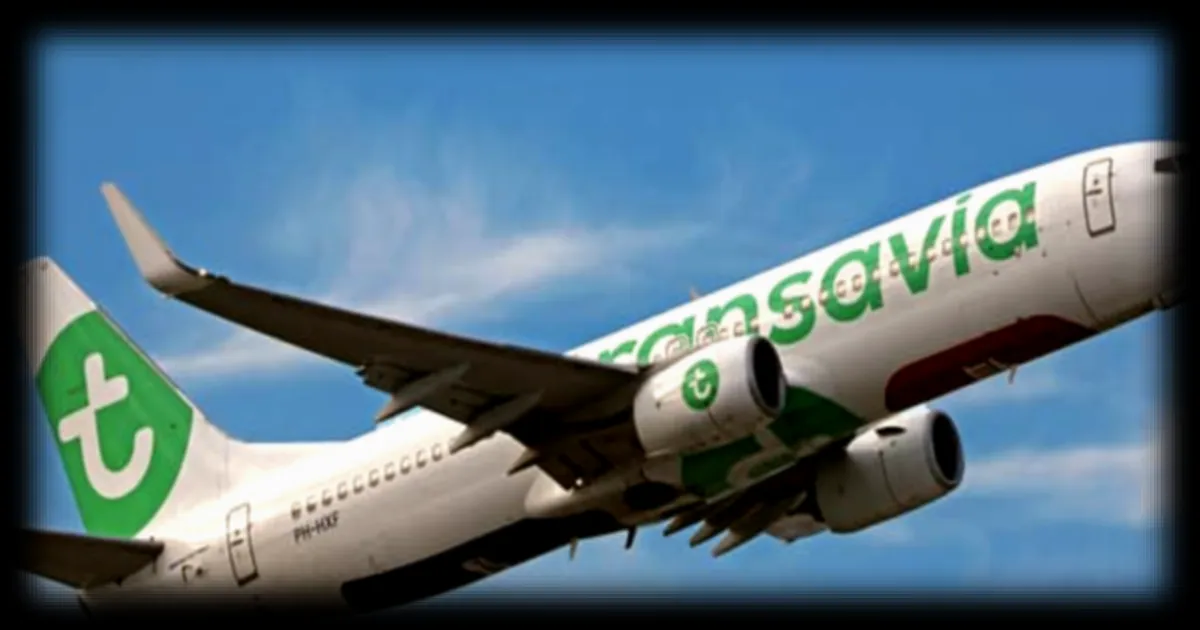 Reprise des navettes Transavia depuis Paris-Orly: une alternative suite au dernier vol d'Air France