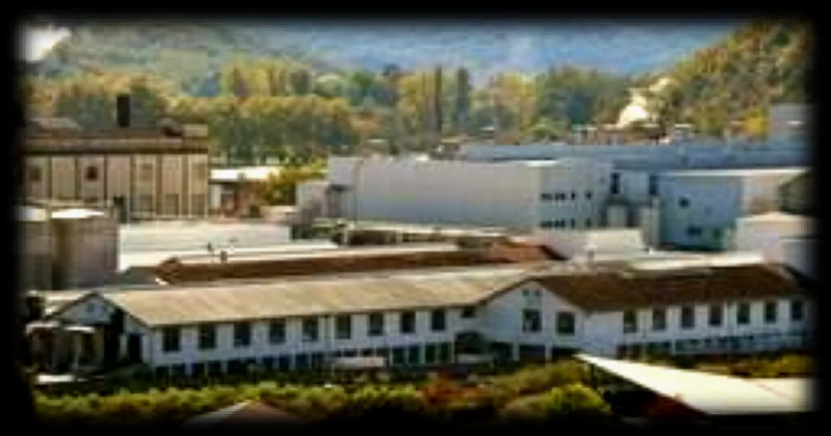 Reprise des papeteries Condat en Dordogne : 90 % des salariés licenciés, l’activité de l’entreprise va évoluer