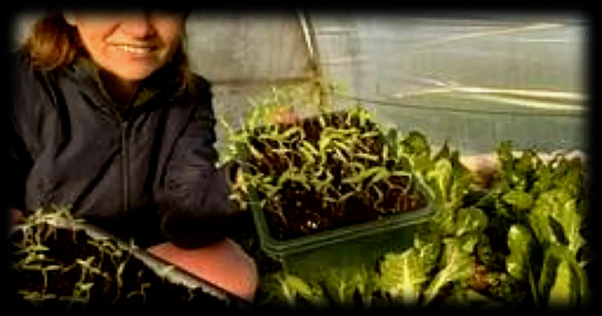 Reussir ses semis du potager avec l'expertise de Marion Ripaud