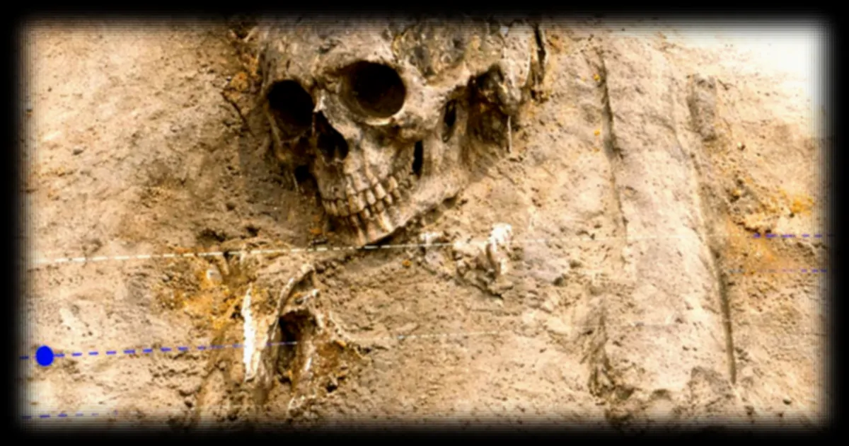 Révélation des inégalités sociales de l'âge du bronze en Europe à travers des os vieux de 4 000 ans