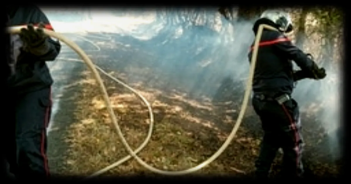 Risque maximal de feux de forêts : sept départements en vigilance rouge pour dimanche