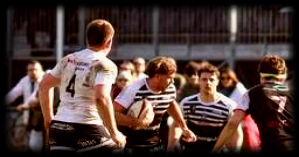 Rugby : les Scoïstes d'Angers s'imposent face à Orléans sans convaincre