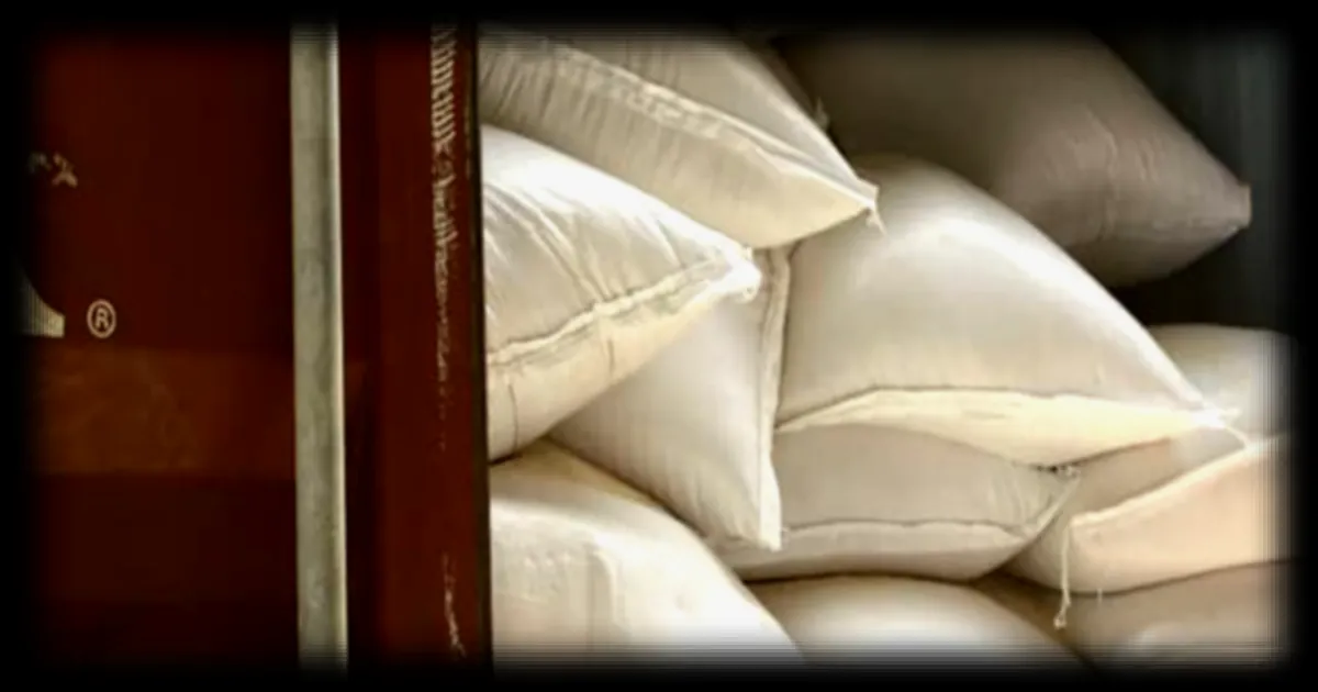 Saisie record de cocaïne en France : 1,2 tonne découverte dans un camion au péage de Vienne