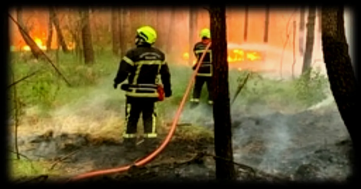 Sapeurs-pompiers : la CFDT alerte sur les équipements et les moyens humains en pleine saison des feux