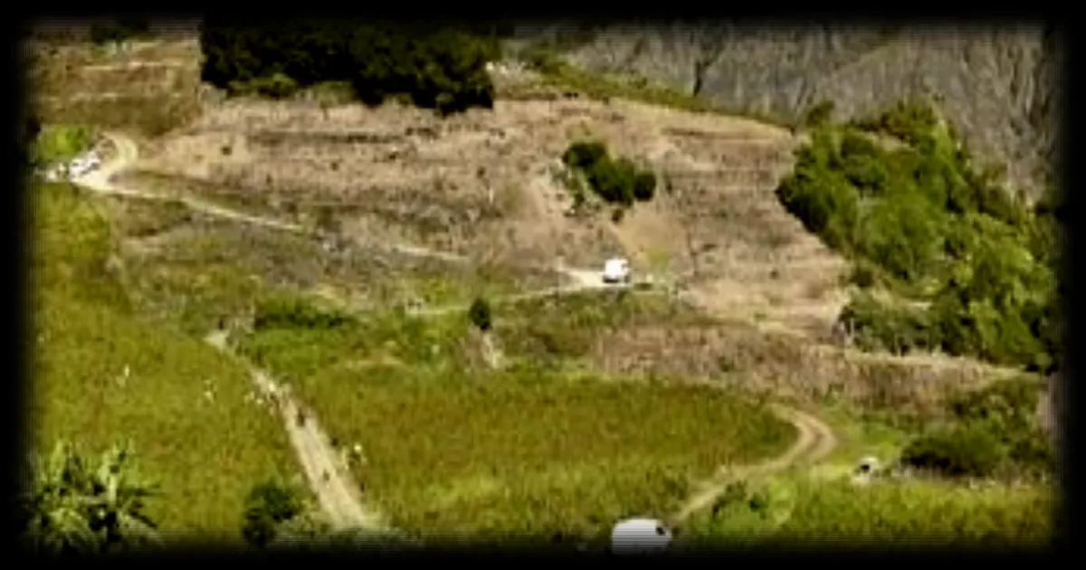 Sauver le majestueux vignoble de Cilaos à La Réunion : une passion pour le vin et le patrimoine