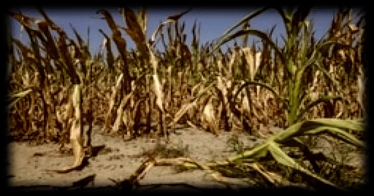 Sécheresse 2026 : le gouvernement prépare un plan d’urgence pour 35 000 exploitations agricoles en difficulté