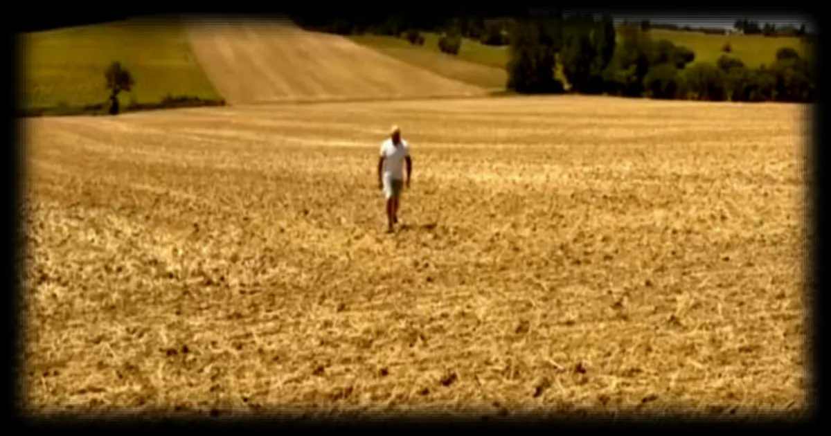 Sécheresse, canicule et incendies : le gouvernement dévoile un plan d'urgence pour les agriculteurs
