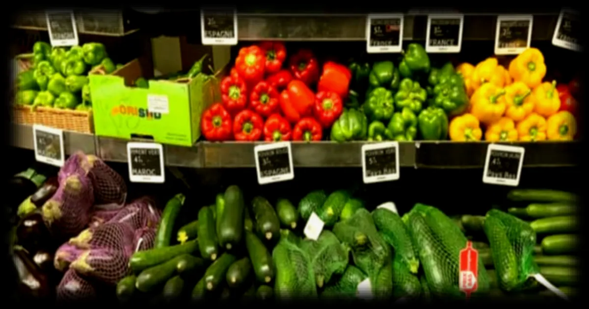 Sécheresse : la production de légumes en crise, des pertes allant de 15 % à 100 %