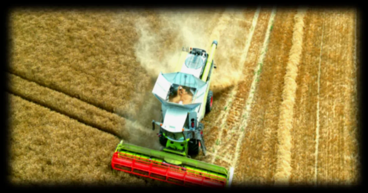 Sécheresses répétées : faut-il stocker l’eau l’hiver pour les agriculteurs en été ?
