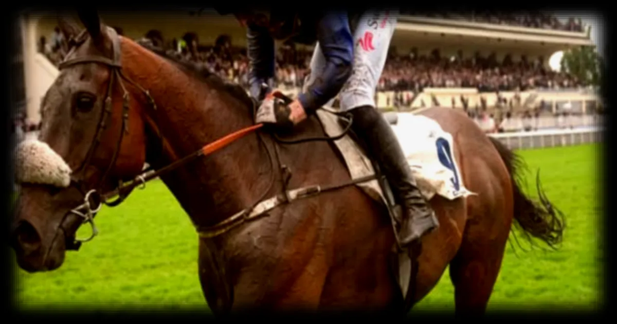 Sel Jem remporte pour la deuxième fois le Grand Steeple-Chase de Paris
