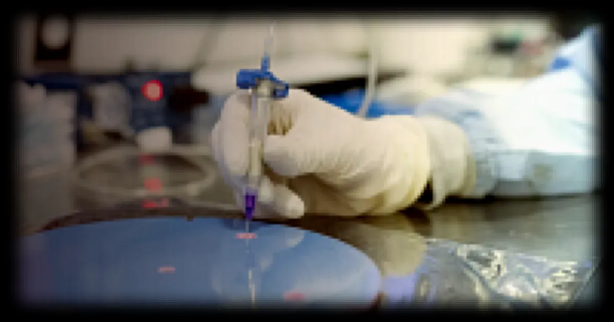 Semco Technologies : Hausse spectaculaire de l'action de plus de 70% en 2026 portée par l'intelligence artificielle