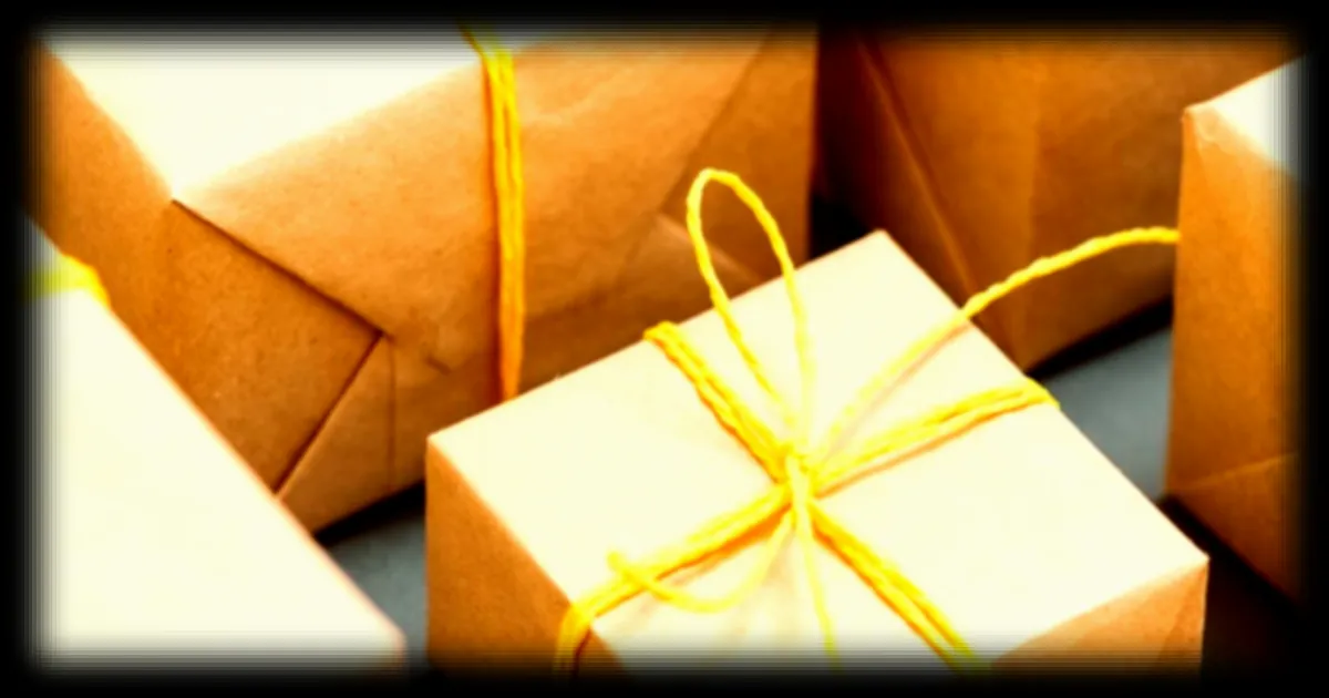 Shein, Temu et AliExpress contournent la taxe sur les petits colis en France : le gouvernement durcit sa position