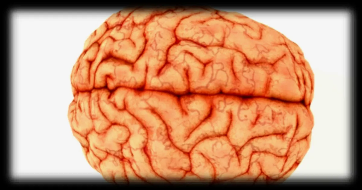 Six habitudes quotidiennes qui accélèrent le vieillissement cérébral, selon Journal du Geek