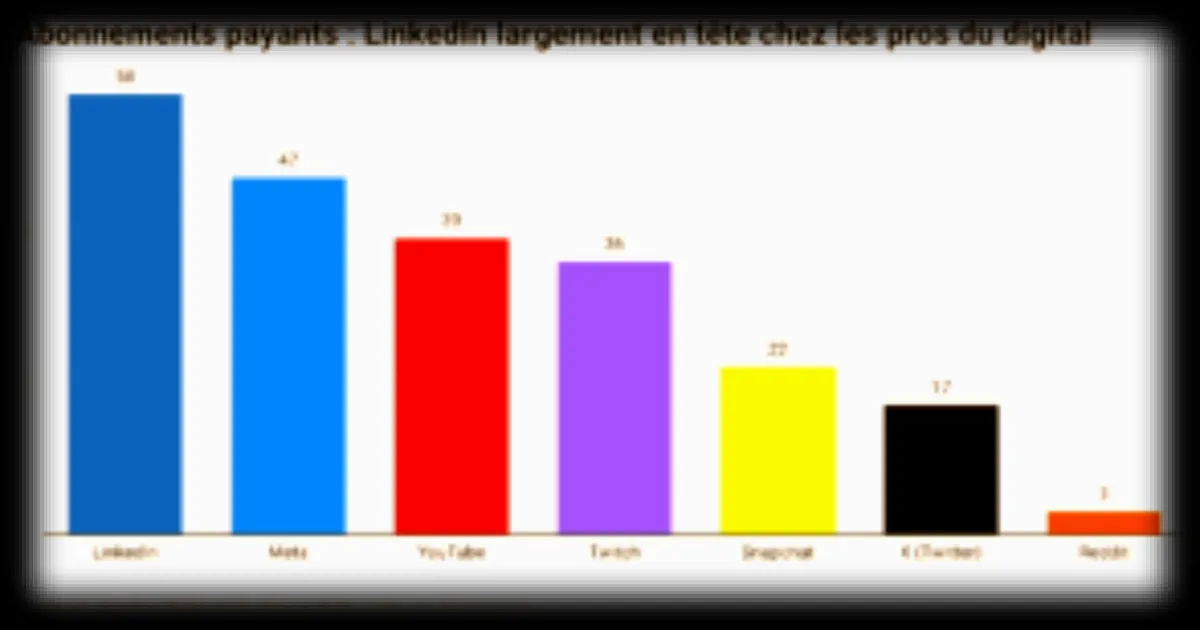 Snapchat+, LinkedIn Premium, Meta Verified : quels réseaux sociaux les utilisateurs sont prêts à payer ?