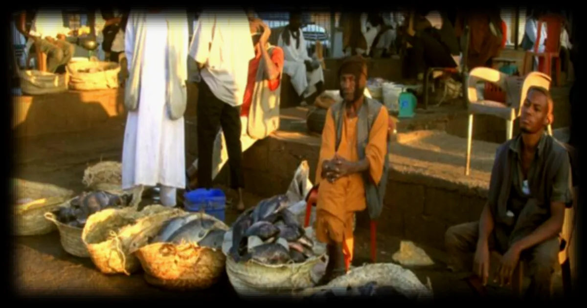 Soudan : Au moins 33 morts après des frappes de drones sur des marchés du Kordofan