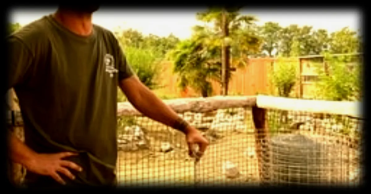 Spaycific’zoo : comment Stéphane Broutin conçoit des enclos en reproduisant l’environnement naturel des animaux
