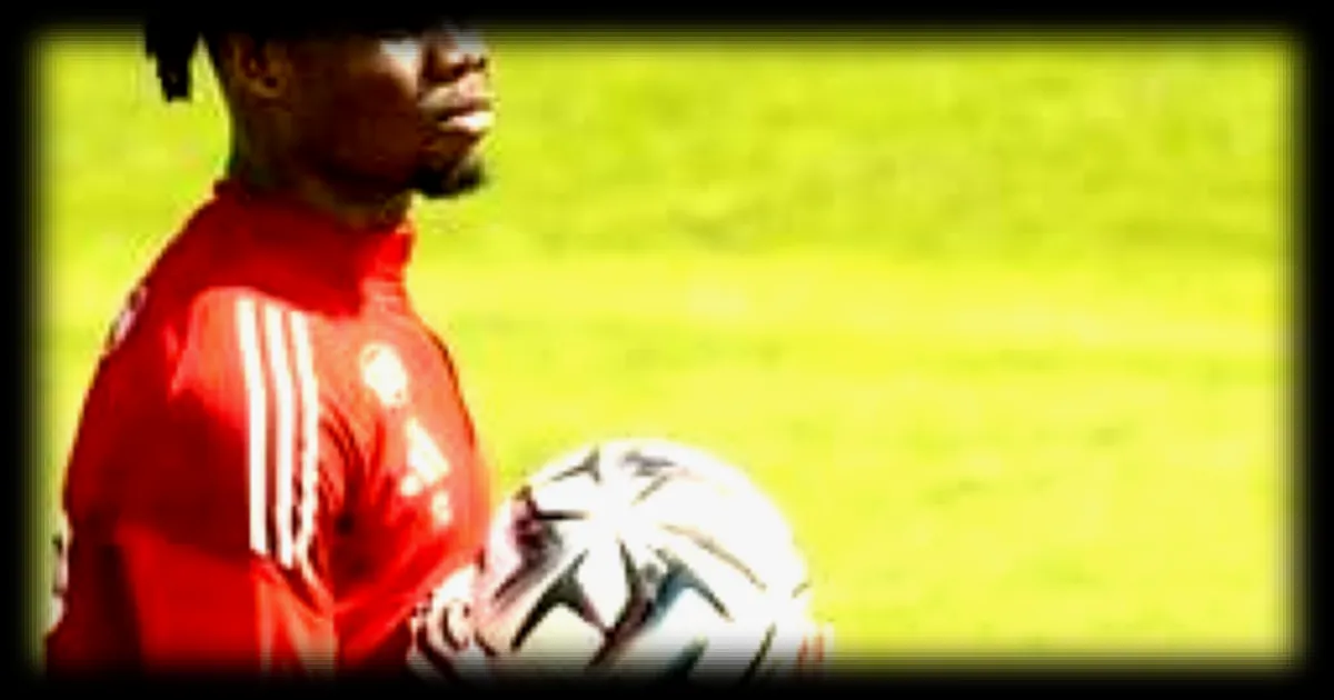 Stade Brestois. Kenny Lala en méforme, pourquoi Luck Zogbé ne joue pas