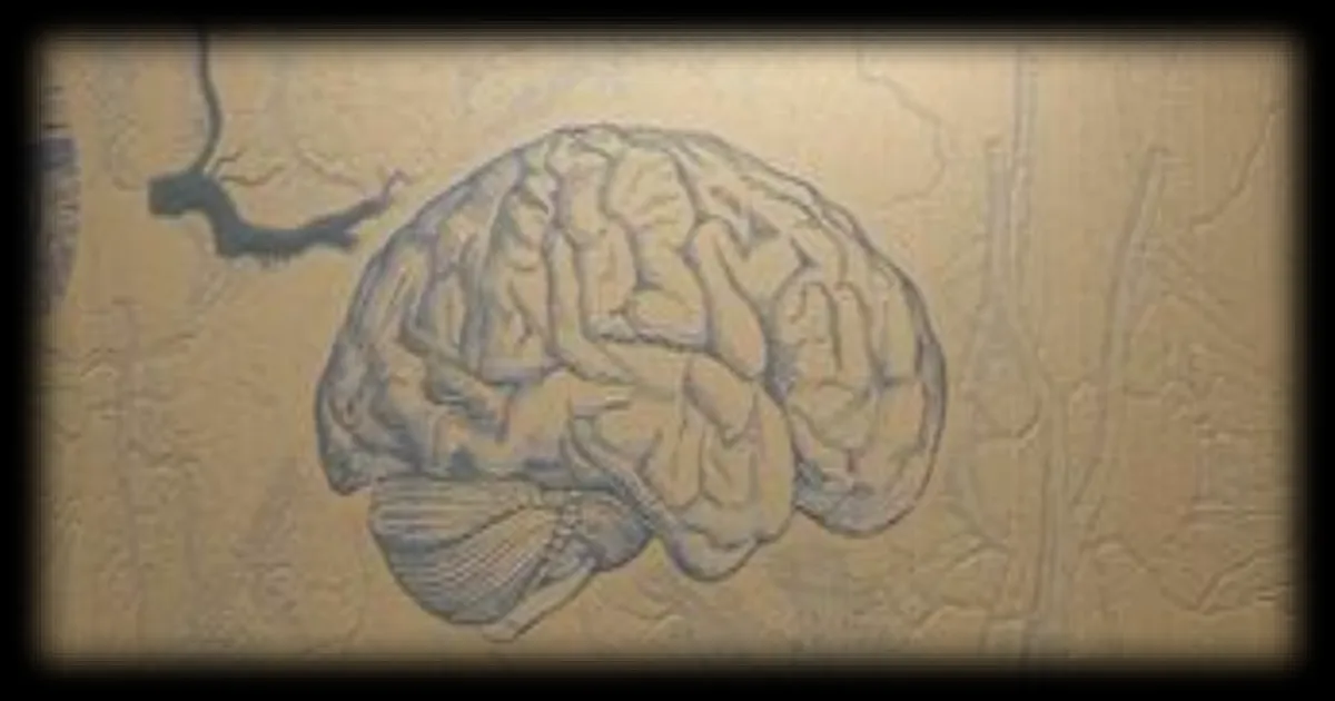 Stimulation cérébrale profonde : une piste prometteuse pour traiter la violence pathologique