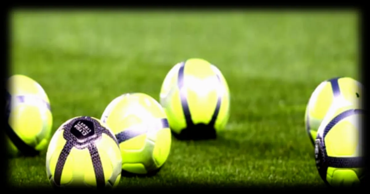 Supporter corse coupable d'insultes racistes lors d'un match de National 3 : réactions en attente de la FFF