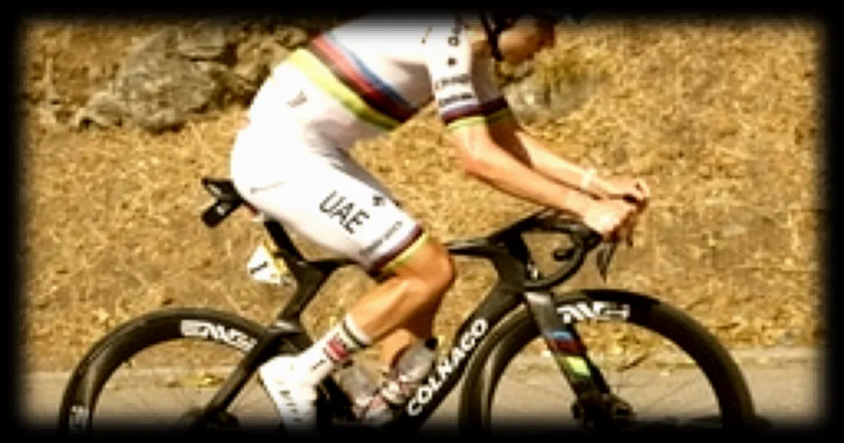 Tadej Pogacar remporte la sixième étape du Tour de France et pulvérise le record de l'ascension du Tourmalet