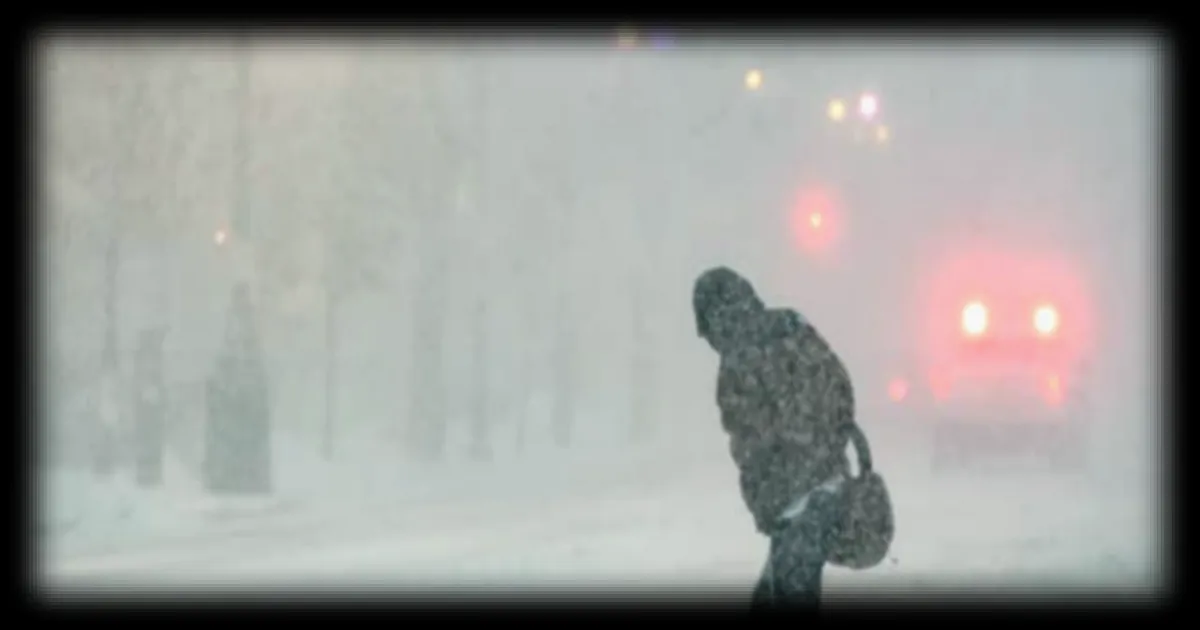 Tempête hivernale aux États-Unis : des dizaines de millions d'Américains touchés par le blizzard