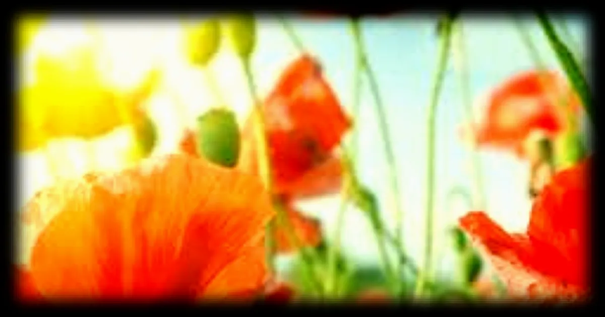 Testez votre culture générale en 25 questions