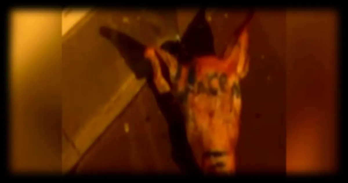 Têtes de cochon devant des mosquées, peinture verte sur des lieux juifs : les services secrets russes impliqués dans une opération de déstabilisation en France