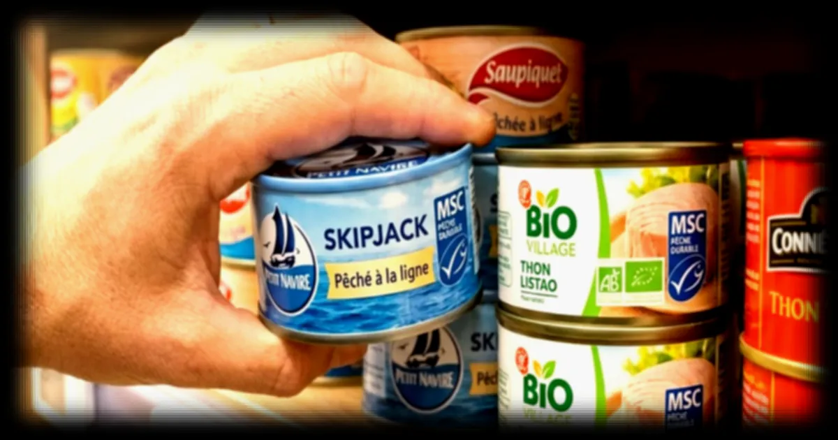 Thon en conserve : les 5 meilleures marques sans mercure pour protéger votre santé