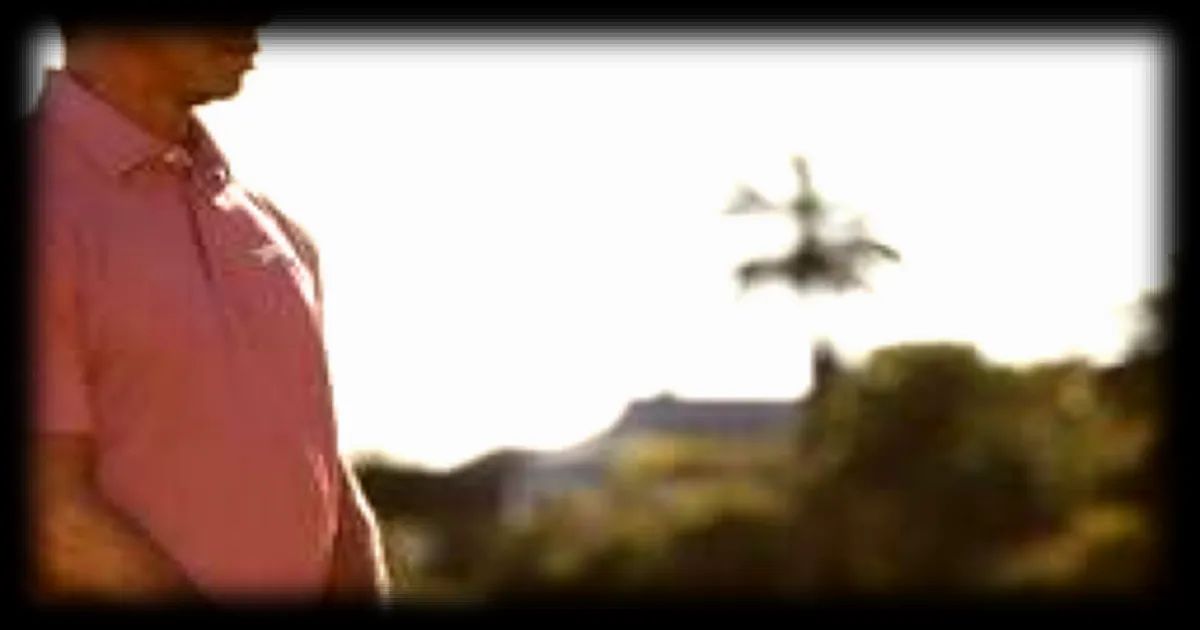 Tiger Woods impliqué dans un accident de voiture aux États-Unis : ce qu'il faut savoir