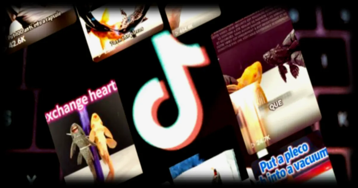 TikTok face aux contenus de torture animale : une industrie macabre en plein essor