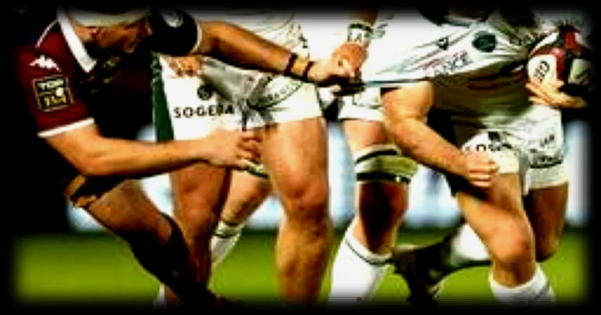 Top 14 : La Section Paloise reçoit l’Union Bordeaux-Bègles ce dimanche