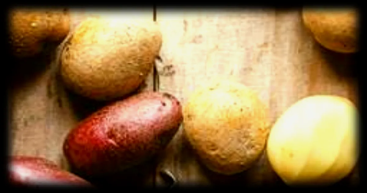 Tout ce qu'il faut savoir sur la polyvalence de la pomme de terre selon Ouest France à la une