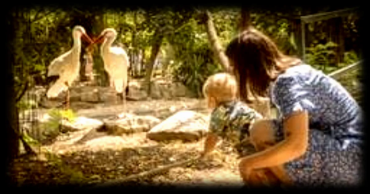 Trois lieux incontournables pour observer les animaux en Mayenne