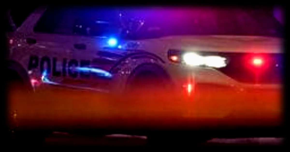 Un adolescent américain de 16 ans sera jugé en tant qu'adulte pour l'homicide de sa demi-sœur sur un bateau de croisière