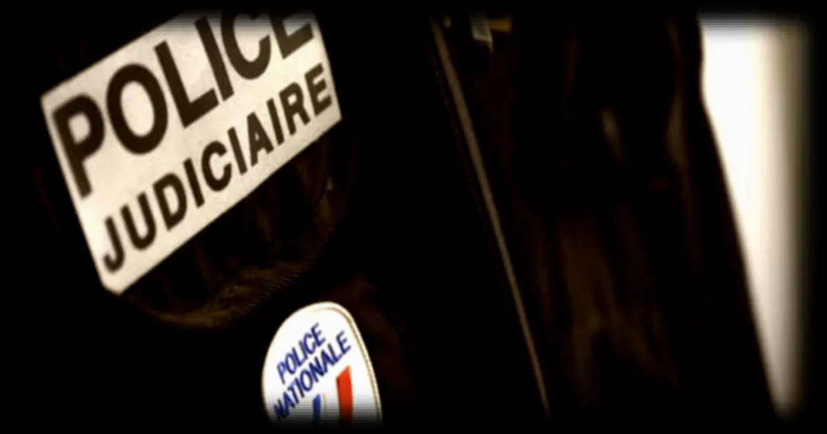 Un adolescent de 16 ans proche de l'ultradroite placé en garde à vue pour apologie de terrorisme et provocation à la haine raciale
