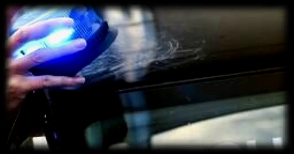 Un adolescent de 17 ans interpellé pour un projet d'attentat dans un lycée de Sarthe