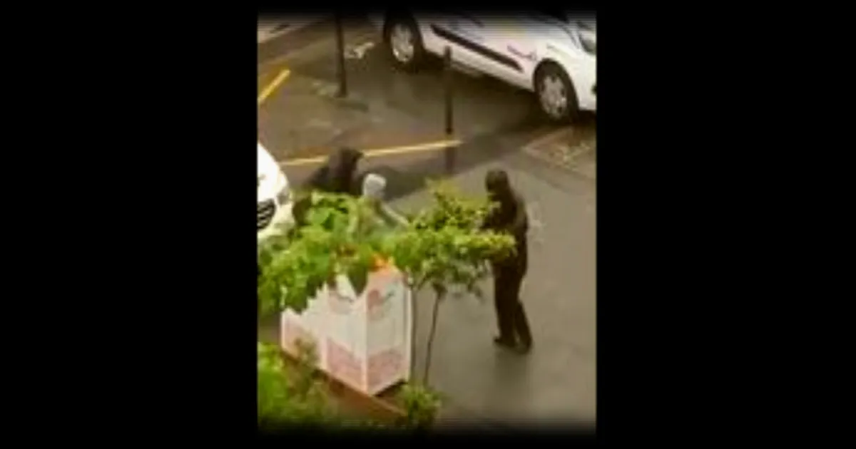 Un adolescent tué à Marseille : le narcotrafic instrumentalise-t-il les mineurs ?