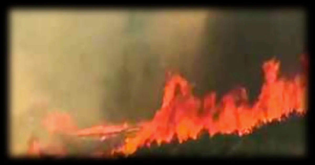 Un an après le mégafeu dans l’Aude, les habitants vivent toujours dans la crainte des incendies