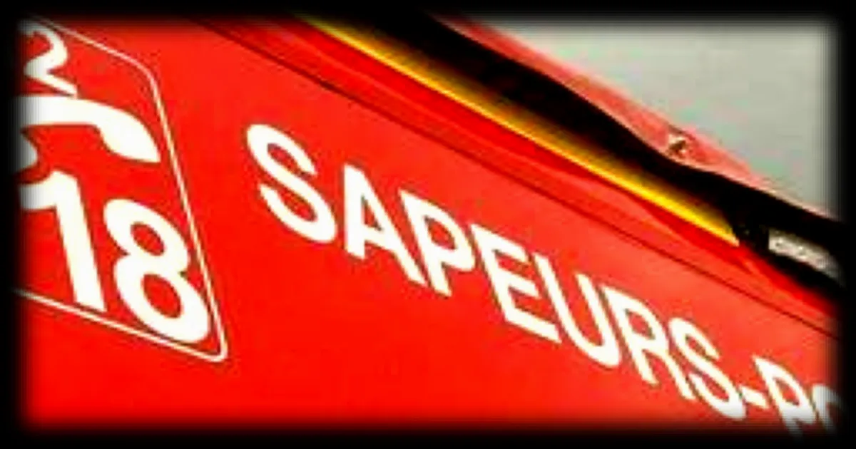 Un automobiliste victime d'un accident mortel dans la Marne alerte les secours avec sa montre connectée