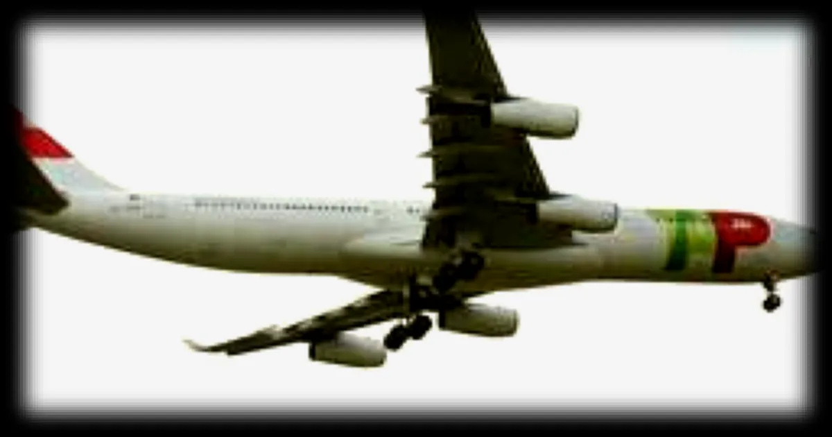 Un avion TAP Air Portugal contraint à un atterrissage d'urgence à Orly suite à un incident de 'fumée'