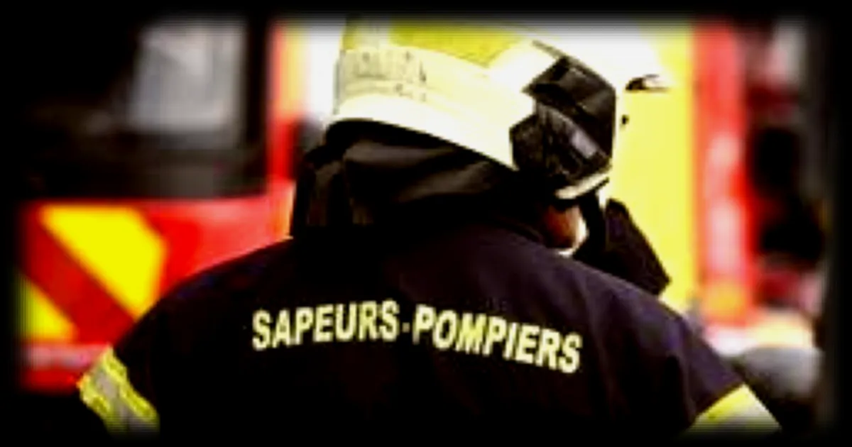 Un bovin secouru par une dizaine de pompiers après être tombé dans une fosse à Précigné