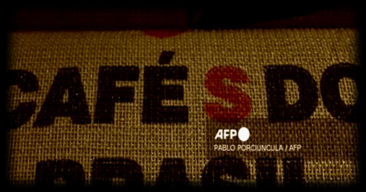 Un café rare et luxueux: un producteur brésilien propose un café eugenioides à 20 000 dollars le sac