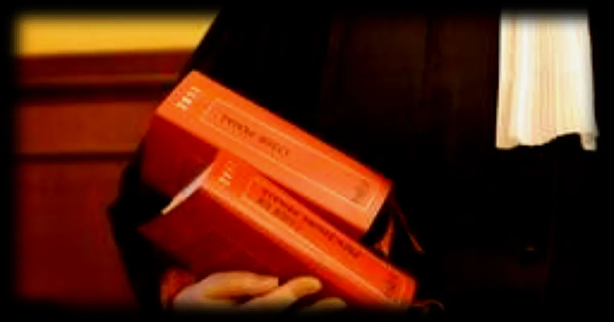 Un chasseur condamné à de la prison avec sursis pour avoir tiré sur une maison dans le Jura