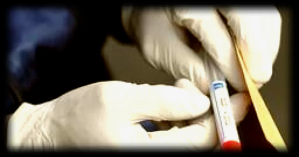 Un corps calciné découvert sur un chantier près de Brest : les autorités enquêtent