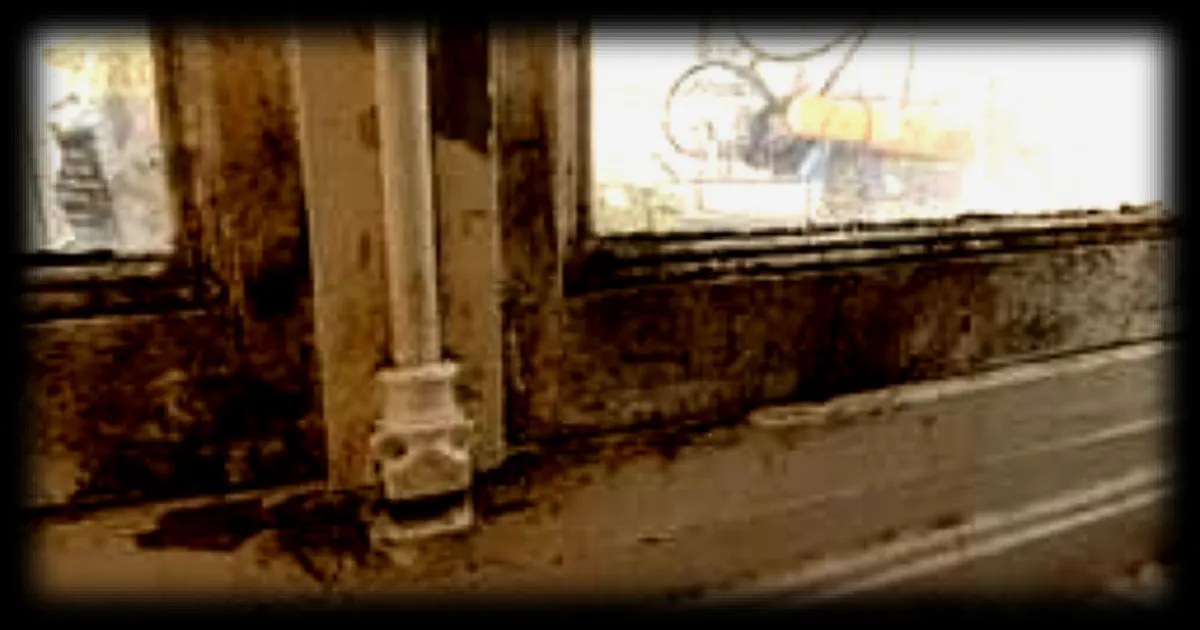 Un couple confronté à un logement détruit après deux ans de location via Solibail