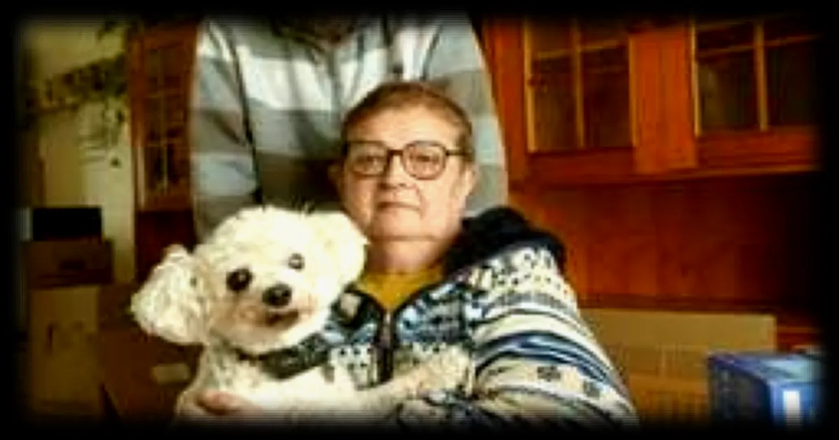 Un couple de retraités malades risque de se retrouver à la rue après avoir perdu 280 000 € à cause d'un escroc