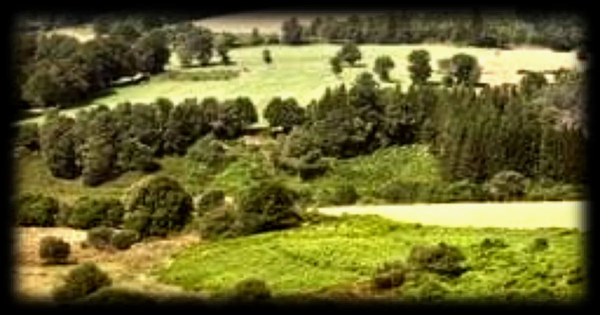 Un couple d'Irlandais remporte une maison en Creuse grâce à une émission de téléréalité